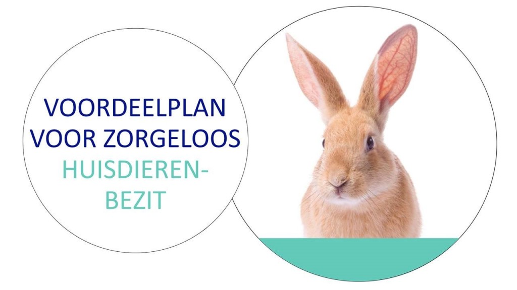 huisdieren zorgplan4