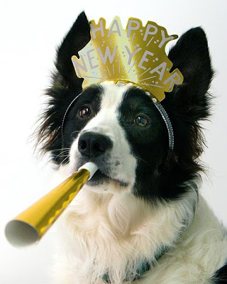 happynewyeardog